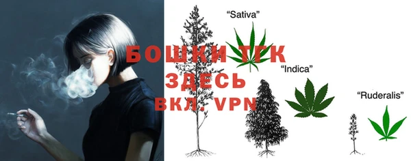 spice Балахна