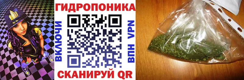 где купить наркоту  Волхов  Каннабис MAZAR 